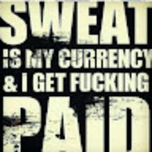 Meet your Posher, Fly